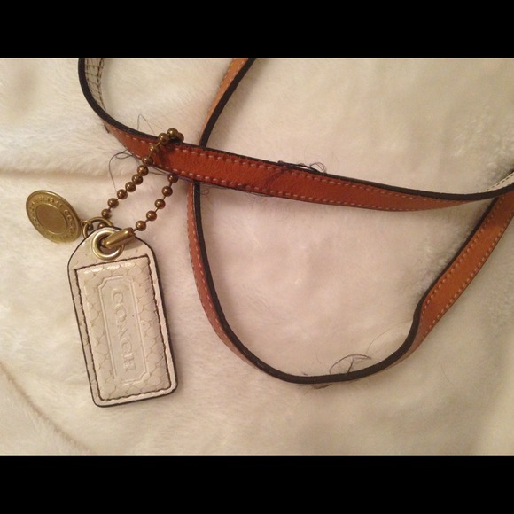 Authentic Coach - Picture 3 of 3