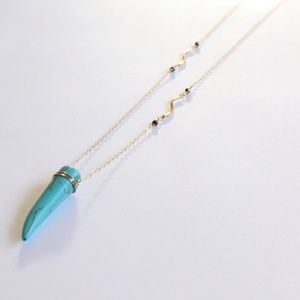 Turquoise Tusk Necklace