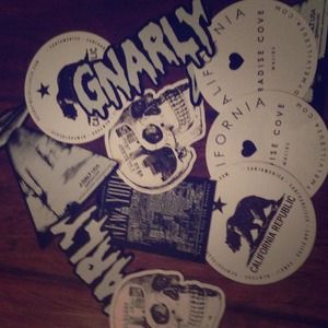 Brandy Melville Stickers👽