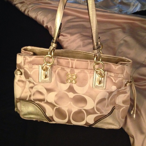 Golden Coach purse