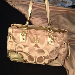 Golden Coach purse