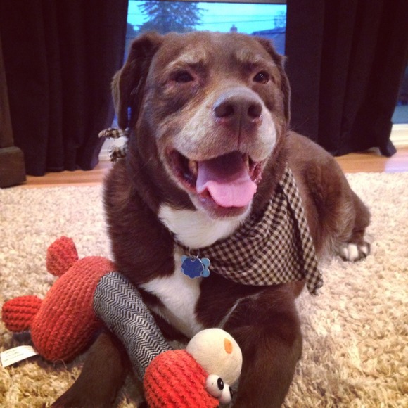 ✨Meet Your Posher✨ - Picture 3 of 4