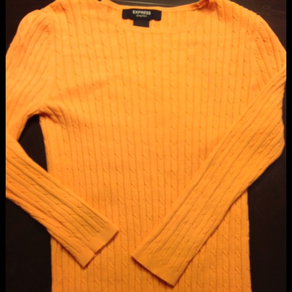 Express spring sweater