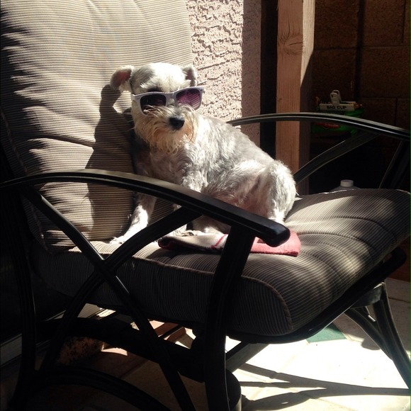 Spike catching some sun wearing Coach sunglasses