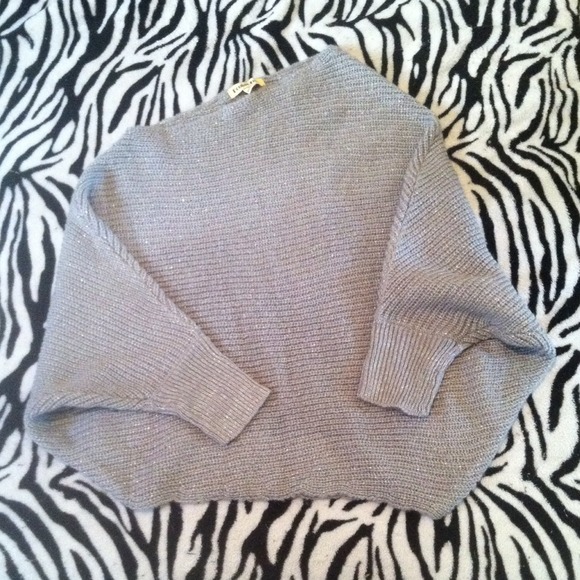 NWT Double Zero Off Shoulder Oversized Sweater