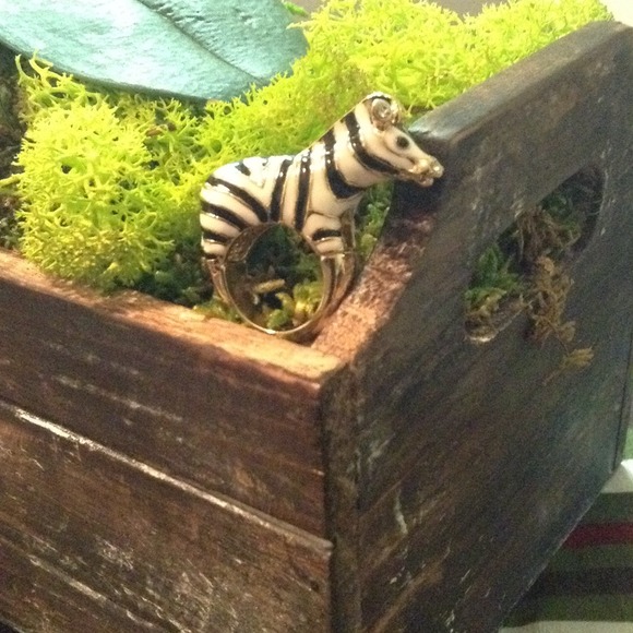 GIFTED Zebra ring