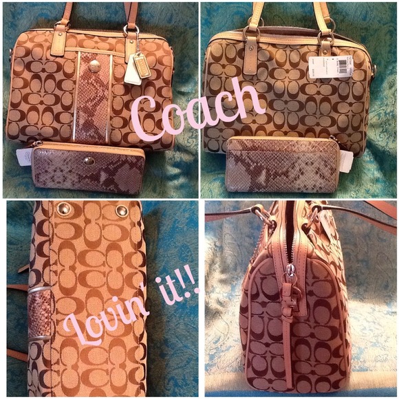 "HP" Rare Coach Exotic Signature Stripe Satchel - Picture 1 of 3