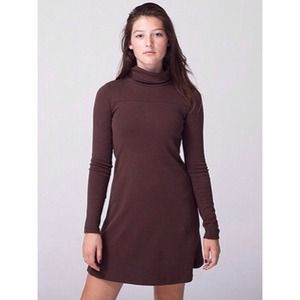 NWOT American Apparel Turtleneck Dress