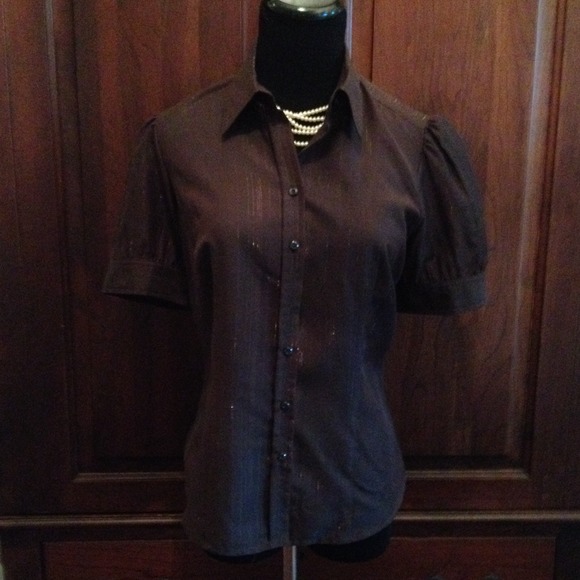 Ann Taylor Loft Chocolate Brown Top