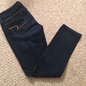 dark wash American Eagle Outfitters skinny jeans