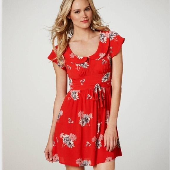 AE Peter Pan Collar Floral Dress