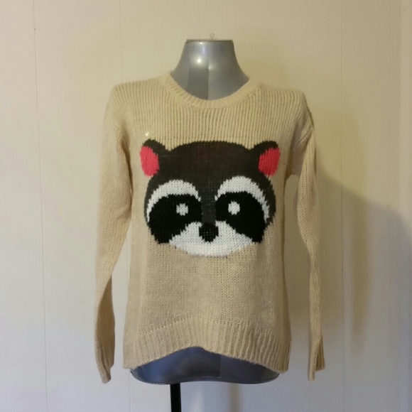 Adorable Racoon pullover Sweater