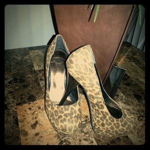 4 1/2 inch leopard Steve Madden heels