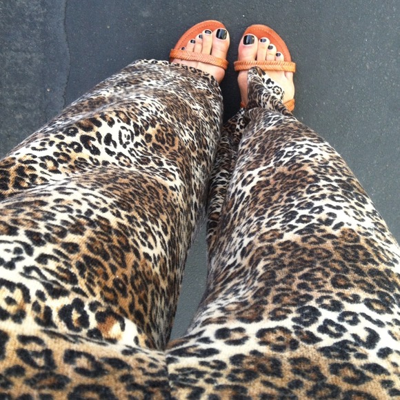 Leopard Bell Pants - Picture 2 of 4