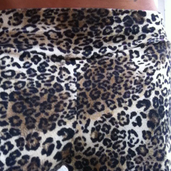 Leopard Bell Pants - Picture 3 of 4