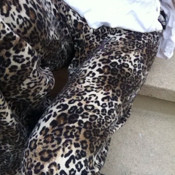 Leopard Bell Pants - Picture 4 of 4