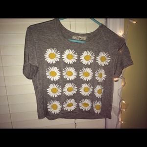🚫NOT AVAILABLE🚫 Daisy crop top