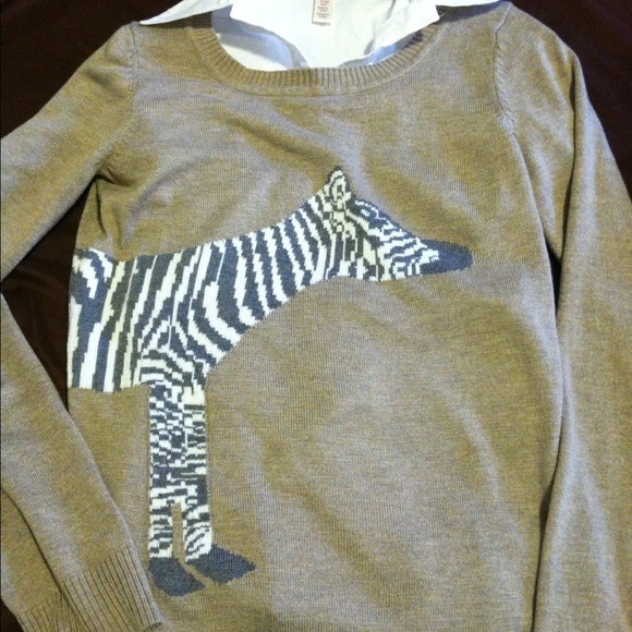 🎉REDUCED!Sweater🎉 - Picture 2 of 4