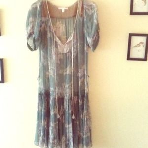 Beautiful Sheer Dress