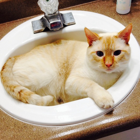 Monkeybear^•.•^ - Picture 1 of 1