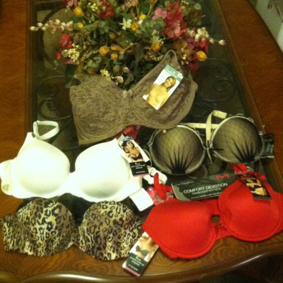 ambrielle.Maidenform.fredricks Other - 🌹5 new with tags bras✨36b.2x38c.38b.34c.🌹