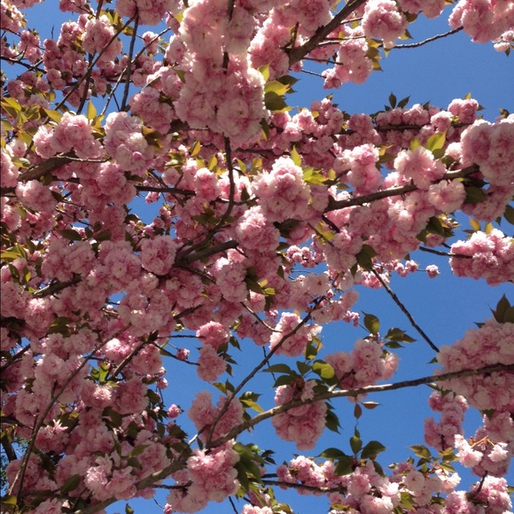 🌸 HUGE SALE, EVERYTHING MARKED DOWN, MAKE OFFER!