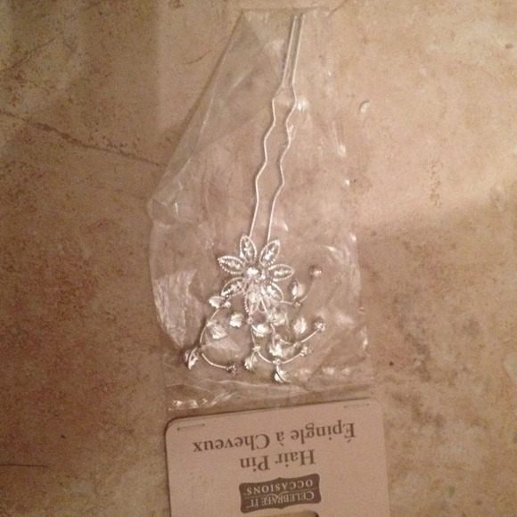 Hair pin I bought for my wedding and never used
