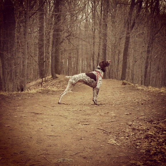 About me.  Just so you know.