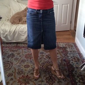 7 For All Mankind denim skirt