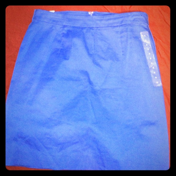 Blue pencil skirt - Picture 1 of 3