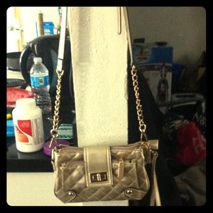 Gorgeous gold handbag