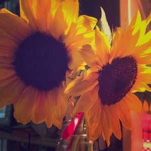 Bundle for @avaluria