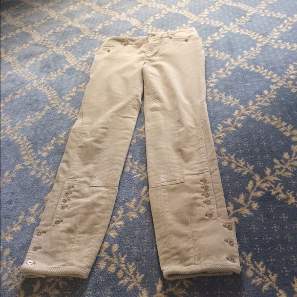 Ralph Lauren riding pants