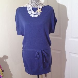 Gap blue light weight boat neck sweater tunic.