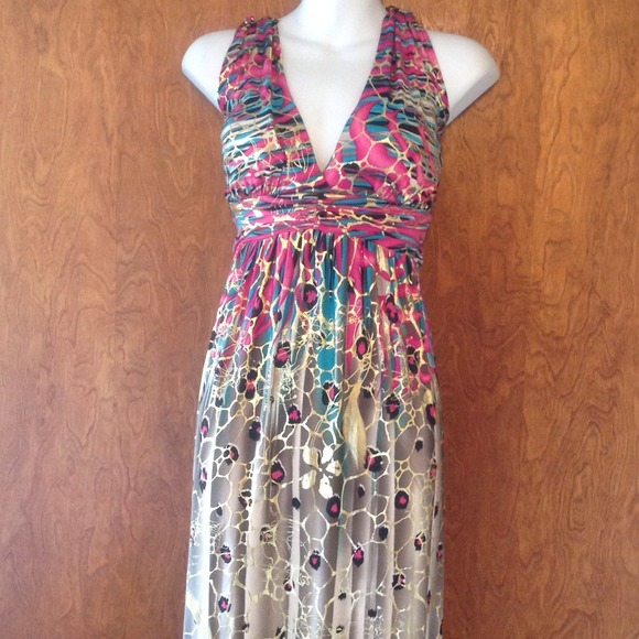 Gold/Pink/Leopard/Turquoise Maxi Dress