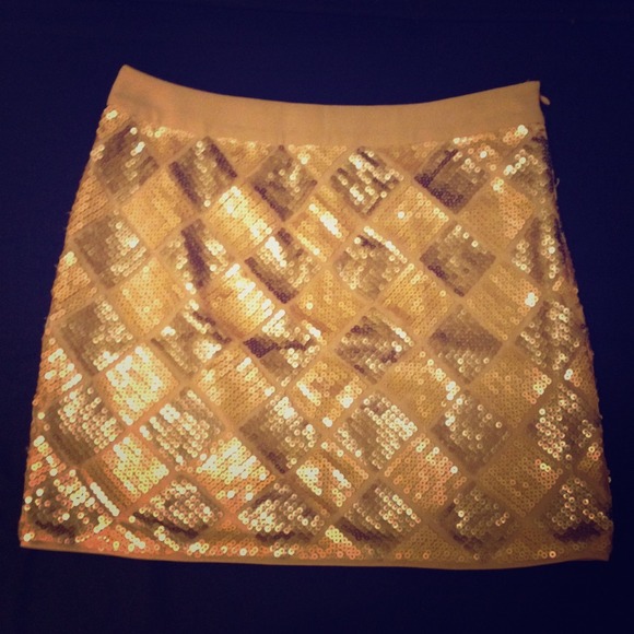 Sequined Mini Skirt