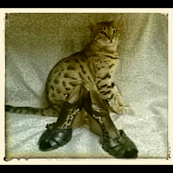 Jessics Simpson Wedges