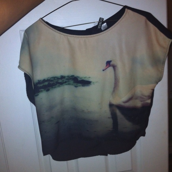Swan painting crop top