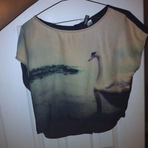 Swan painting crop top