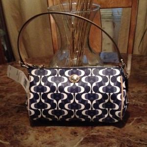 #110.  New Peyton Dream C Top Handle Pouch