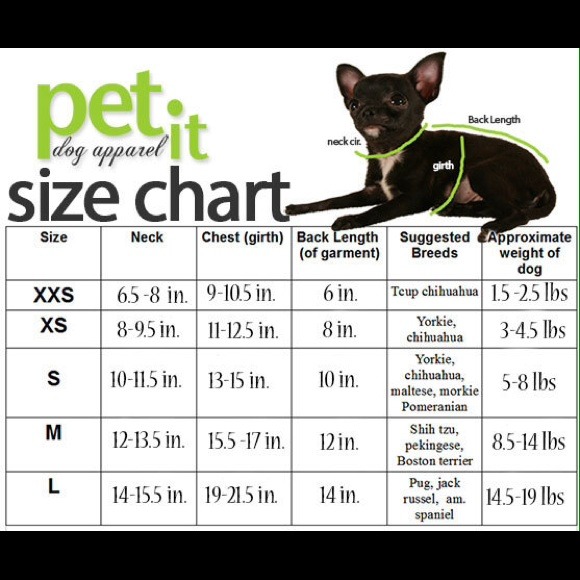 Puppy clothes! - Picture 2 of 2