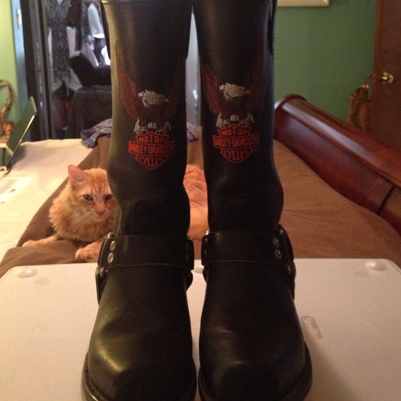 Leather riding boots