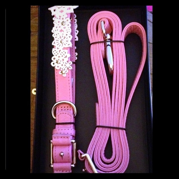 Oscar De La Renta pink leather leash/collar set