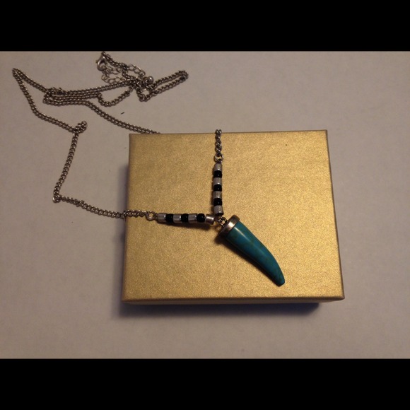 Long Turquiose necklace.