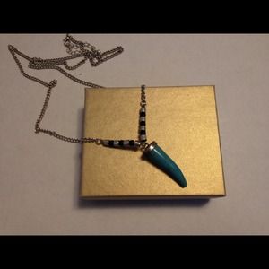 Long Turquiose necklace.