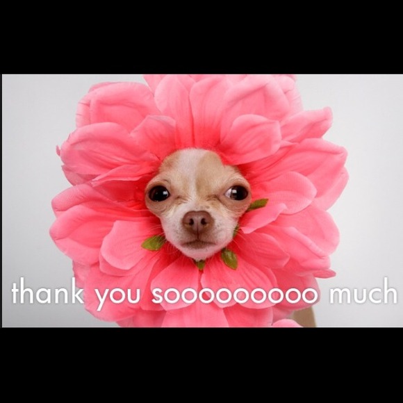 THANK YOU THANK YOU THANK YOU!