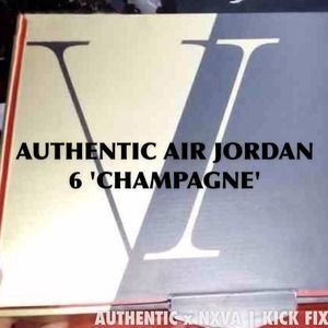 AUTHENTIC AIR JORDAN 6 'CHAMPAGNE' MENS 9 1/2
