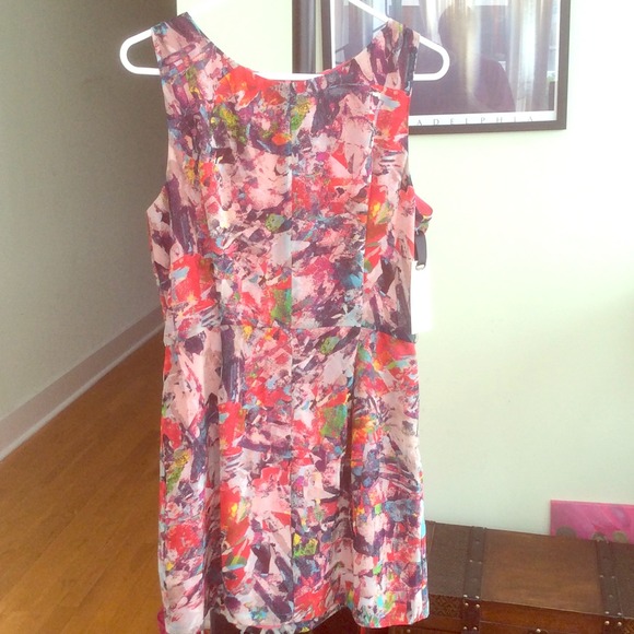 BB Dakota Multicolored Dress