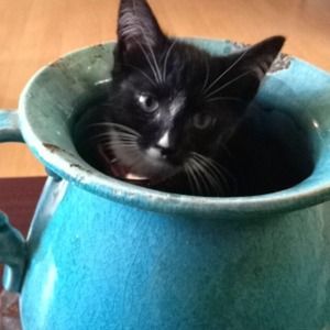 Baby bella says hi 😘🙈