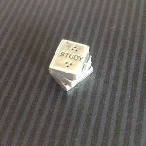 Pandora charm (on hold) bundle